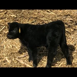 Meet your Posher, Stacie